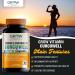CURCUWELL High-Potency Curcumin & Turmeric Blend | Joint & Cognitive Support | Natural Inflammatory Relief - 30 Day Supply - Buy Online on GoSupps.com