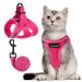 Fayogoo cat dishes cat linen dishes for cats cat dishes with a leash outbreak -proof cats.