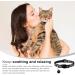 Neuwehe Cat Dishes with Leash Set - Adjustable Soft Cat Bowls with Cat Neck Band for Small Dogs & Big Cats (Black Size S) - Outbreak-Proof & Durable - Buy Online on GoSupps.com