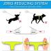 Thinkpet No-Pull Dog Harness & Leash Set | Adjustable Breathable Reflective Safety for Small to Large Dogs - Green (150cm) - Buy Online on GoSupps.com
