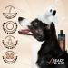 GROOM PROFESSIONAL Argan Oil Dog Conditioner 450ml - Repairing & Detangling Formula for Dry, Itchy Skin | Ideal for Dogs with Damaged Hair - Buy Online on GoSupps.com
