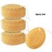Soft Bathing Sponge Set 6 Gentle Foam Shower Sponges for Men Women & Kids Perfect Peeling Body Cleaning Accessories - Buy Online on GoSupps.com