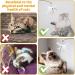 DONGKER 8pcs Cat Rod Replacement Feathers Interactive Cat Replacement Feathers With Bell for Cat Wand Toys Chasing Toys - Buy Online on GoSupps.com