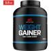 XXL Nutrition Weight Gainer - 2500g Protein Powder for Muscle Mass & Building | EAA BCAA Low Fat - Vanilla Flavor - International Shipping Available - Buy Online on GoSupps.com