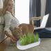 Youding Cat Grass Growing Kit Planter Tray Catnip Box Chewing Kitten Plant Set for Snacks Soil Free Snacks Digestion Pet Food Indoor Nursery Balcony Patio Blue - Buy Online on GoSupps.com