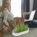 Cat Grass Set - Hydroculture Plant Container for Cats | Dirt-Free Odorless Anti-Grave Design & Easy Planting - Available in 3 Colors - Buy Online on GoSupps.com