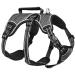 Heele dog harness breakout buckle in the neck area reflective breast dishes with a robust handle panic crockery dog dog harness stable impression fits like a glove black XL XL black