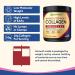 Doctor's Recipes Women s Probiotics & Multi Collagen Powder Bundle Value Pack for Vaginal Skin Hair Nail Health No Gluten Pro (60 Capsules) & Collagen (45 Servings) - Buy Online on GoSupps.com