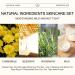 Natural Essence Skin Care Set - Daily Moisturizing Essentials | Beeswax Lip Balm Coconut Foot Cream Milk Lotion Chamomile Cleanser Lavender Salve | International Shipping - Buy Online on GoSupps.com