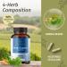 HERBAMAMA Brain Support Capsules - 1400mg Brain Support Supplement for Adults with Bacopa Panax Ginseng and Ginkgo Biloba - Vegan Non-GMO Focus Supplement 100 Caps 100 Count (Pack of 1) - Buy Online on GoSupps.com