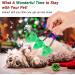 VavoPaw Christmas Stocking Cat Toys - Interactive Santa Claus Teaser Wand, Plush Rat Ball & Gingerbread Man - Fun Holiday Gifts for Cats - Buy Online on GoSupps.com