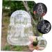 KALLORY 4 pcs Tiny Melon Duddha Stereotypes Pear Watermelon Plastic Shaping Adorable Peach Shape Transparentx2pcs 10x7cmx2pcs - Buy Online on GoSupps.com