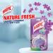 Harpic Active Fresh Hygienic Lavender - Buy Online on GoSupps.com