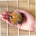 Magiclulu Baoding Massage Globe Balls - Reflex Zone Hand Massage & Exercise - Cloisonn Design - Buy Online on GoSupps.com