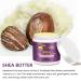 AOAO Shea Body Butter for Stretch Marks Pregnancy with Honey & Coconut - Shea Butter Body Balm & Body Butter for Pregnant Women - Hypoallergenic Nourishing Body Moisturizer (Shea Butter) - Buy Online on GoSupps.com