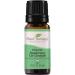 Plant Therapy Organic Rosemary Essential Oil 100% Pure USDA Certified Organic Undiluted Natural Aromatherapy Therapeutic Grade 10 mL (1/3 oz)