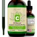 2oz Chlorophyll Liquid Drops - Natural Concentrate for Water - Buy Online on GoSupps.com
