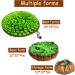 NEECONG Dog Snuffle Mat Slow Feeder Bowl - Encourages Natural Foraging Skills, Stress Relief - Portable Grassland Simulation for Indoor/Outdoor Fun - Buy Online on GoSupps.com