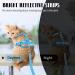 Supet Escape Proof Cat Harness and Leash Set - Adjustable Vest for Small and Large Kittens/Dogs - Green - Medium Size - Buy Online on GoSupps.com