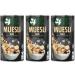 OneDayMore Muesli Chocolat pour Lui | 3 x 450 g de flocons d avoine | Muesli v g talien avec bananes | Collations fruit es 100% naturelles | Sans sucre ajout sans huile de palme