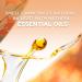Air Wick Apple Cinnamon Medley Scented Oil Starter Kit - Fall Decor Essential Oils - Buy Online on GoSupps.com