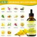 Mullein Drops For Lungs Liposomal 14 In 1 Mullein Leaf Extract For Lungs Mullein Drops with Elderberry Chlorophyll Thyme - for Lung Cleanse Detox Respiratory Immune Health 3 Fl 0Z Mint Flavor 3 Fl Oz (Pack of 1) - Buy Online on GoSupps.com