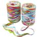 2 Rolls Colored Paper String Raffia Ribbon 160Meters/524 Feet Ribbons with 6 Colors Paper Perfect for Gift Box Wrapping  DIY Art Decoration  Party Decor and Craft Projects