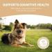 Pets Purest All Itch and Immunity Support Supplement Drops 50ml - Natural Skin Aid for Dogs & Cats - Paw Licking, Itchy Ears, Irritation, Watery Eyes - Buy Online on GoSupps.com