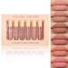 YOUNG VISION Matte Nude Liquid Lipstick Sets Long Lasting and Waterproof Pink/Brown Lip Stick Pack Bundles Lip Gloss/Lip Stain Makeup Set for Women Labiales Matte Larga Duracion 24 Beige Nude