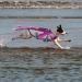 ASENKU Dog Life Jacket - Ripstop Safety Vest for Small to Large Dogs - Adjustable Pet Life Preserver in Pink - Buy Online on GoSupps.com