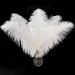 Piokio 20 pcs White Ostrich Feathers Plumes 10-12 inch(25-30 cm) Bulk for DIY Christmas Decorations  Wedding Party Centerpieces  Gatsby Decorations White 20 pcs