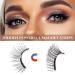 Dual Magnetic Eyelashes - Natural Look, No Glue Needed, Reusable 3D Fake Lashes - Elegant Lady Style - Buy Online on GoSupps.com