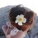 14 Pcs Orchid Plumeria Chiffon Flower Hair Clips - Multicolor Floral Barrettes for Women, Bridal Headpiece, Luau Tropical Wedding & Beach Party Decorations - Cute Hair Pins Accessory - Buy Online on GoSupps.com