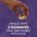 Nature's Way Quercetin Gummies with Zinc - Immune Defense and Antioxidant Support - 60 Lemon Flavored Gummies - Buy Online on GoSupps.com