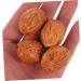 60 Pcs Walnut Photo Props Walnut Props Photo Props Walnut Faux Fruit Walnut Toy Artificial Nut Artificial Food Walnut Ornament Decor Models Walnut Model Birthday Present Red Dates As Shownx3pcs mediumx3pcs - Buy Online on GoSupps.com