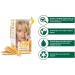 Garnier Coloration N 06 Very Light Natural Blonde - Pack of 2 - Buy Online on GoSupps.com