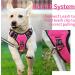 Shop Heele Dog Crockery & No-Pull Harness | Breathable Reflective Dog Gear for Medium Dogs - XL Uni-Rose - Buy Online on GoSupps.com