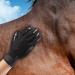 Bestbuy Pet Grooming Gloves - Improved Five Finger Design Rubber Glove Gentle Deshedding Brushes for Cats Dogs and Horses (Black) - Buy Online on GoSupps.com