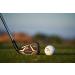 Callaway Big Bertha 2019 4 Iron Left UST Recoil ESX 460 F2 Graphite Shaft-Light Flex - Buy Online on GoSupps.com