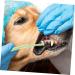 WOONEKY 1pc Pet Single Head Toothbrush Dog Toothpaste Cat Toothbrush Cleaning Kit Manual Plastic Care Brush - Buy Online on GoSupps.com