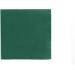 Buy Alvotex Soft Point Disposable Napkins - High Quality Green 38x38 cm (Pack of 2) for International Shipping - Buy Online on GoSupps.com