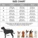 Docio Orange Cotton Padded Dog Winter Coat Jacket for Small Dogs - Warm & Stylish 1 Pack - Buy Online on GoSupps.com