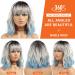 Shop Noble Blue Wigs - 12 Curly Bob with Air Bangs | Heat-Resistant Synthetic Silver Blue Wig for Women - Buy Online on GoSupps.com