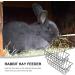 POPETPOP 2Pcs Hanging Hay Racks Decorative Hay Container Guinea Pig Hay Feeder Hay Holder - Buy Online on GoSupps.com