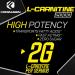Forzagen L-Carnitine 2000 - Liquid L-Carnitine with Vitamin B6 | Acetyl L-Carnitine | 30 Servings Sour Fruit Punch - Boost Energy & Metabolism - Buy Online on GoSupps.com