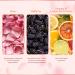 Buy VLCC Mulberry and Rose Facewash 150ml - Buy 1 Get 1 Free | International Shipping - Buy Online on GoSupps.com