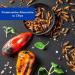 Sensible Insect Snack | Roasted Mealworm Protein & Crunchy Party Mix | Unique Grilling Gift Idea - Buy Online on GoSupps.com