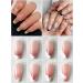 EBANKU 2PCS Clear Nail Stamper Set with Scrapers - Double Sided Silicone Jelly Stampers for Manicure - Buy Online on GoSupps.com
