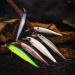 6-Piece Jerkbait Kit for Bass Fishing - 110mm Minnow Lure, Suspending Jerk Baits Fishing Lures - Buy Online on GoSupps.com