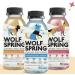 Natural Wolf Spring Dog Food Supplement for Adult Dogs | Skin, Coat & Joint Support | Digestive Health Multivitamin with Omega-3 | Plant Based Additive | 10oz (Pack of 24) - Buy Online on GoSupps.com